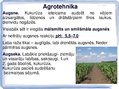 Prezentācija 'Kukurūzas bioloģiskās īpašības. Agrotehnika, slimības, kaitēkļi un šķirnes', 3.