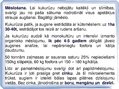 Prezentācija 'Kukurūzas bioloģiskās īpašības. Agrotehnika, slimības, kaitēkļi un šķirnes', 9.