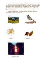 Eseja 'Lettland', 2.