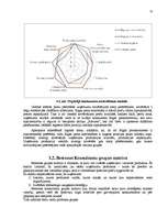 Referāts 'A/s "Rīgas Piena kombināts" mārketinga vides un stratēģijas analīzes un darbības', 13.