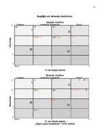 Referāts 'A/s "Rīgas Piena kombināts" mārketinga vides un stratēģijas analīzes un darbības', 21.