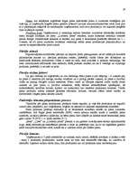 Referāts 'A/s "Rīgas Piena kombināts" mārketinga vides un stratēģijas analīzes un darbības', 28.