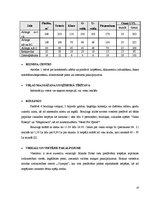 Prakses atskaite 'Prakse viesnīcā "Islande Hotel"', 10.