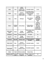 Prakses atskaite 'Prakse viesnīcā "Islande Hotel"', 30.