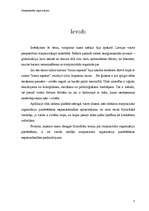 Referāts 'Starptautiskās organizācijas', 4.