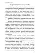 Referāts 'Starptautiskās organizācijas', 5.