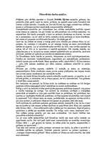 Eseja 'Filosofiska darba analīze', 1.