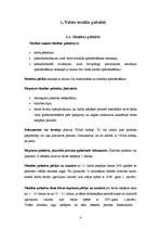 Konspekts 'Valsts sociālie pabalsti', 2.