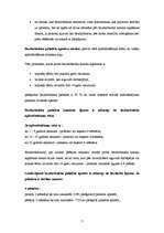 Konspekts 'Valsts sociālie pabalsti', 5.