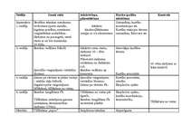 Konspekts 'Tematiskais plāns 8.klasei', 1.