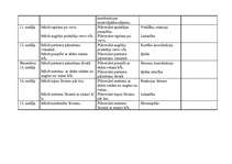 Konspekts 'Tematiskais plāns 8.klasei', 3.