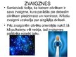 Prezentācija 'Latvju zīmes', 7.