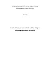 Referāts 'Jauniešu vērtējums par dzimumattiecību uzsākšanu 13-15 gadu vecumā un dzimumatti', 1.