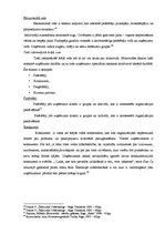 Diplomdarbs 'Uzņēmuma "X" attīstības stratēģijas izstrāde', 16.