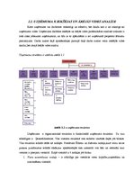 Diplomdarbs 'Uzņēmuma "X" attīstības stratēģijas izstrāde', 19.