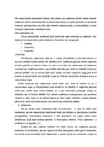 Diplomdarbs 'Uzņēmuma "X" attīstības stratēģijas izstrāde', 25.