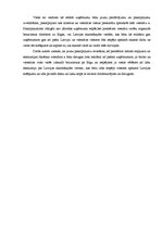 Diplomdarbs 'Uzņēmuma "X" attīstības stratēģijas izstrāde', 31.