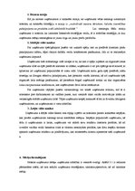 Diplomdarbs 'Uzņēmuma "X" attīstības stratēģijas izstrāde', 33.