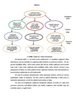 Diplomdarbs 'Uzņēmuma "X" attīstības stratēģijas izstrāde', 34.