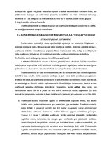 Diplomdarbs 'Uzņēmuma "X" attīstības stratēģijas izstrāde', 36.