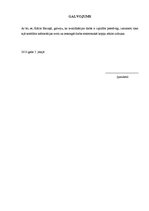 Diplomdarbs 'Uzņēmuma "X" attīstības stratēģijas izstrāde', 52.