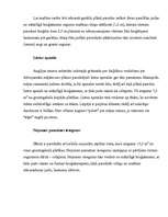 Referāts 'Dārza plānošana', 5.