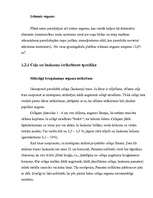 Referāts 'Dārza plānošana', 6.