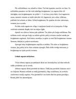 Referāts 'Dārza plānošana', 7.