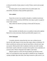 Referāts 'Dārza plānošana', 10.