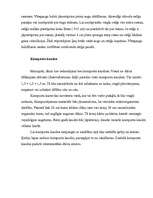 Referāts 'Dārza plānošana', 11.