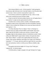 Referāts 'Dārza plānošana', 12.