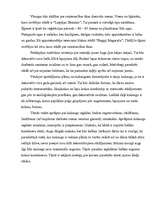 Referāts 'Dārza plānošana', 13.