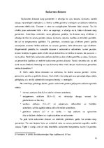 Referāts 'Ķermeņa valoda - veids kā mēs papildinām savu runu', 13.