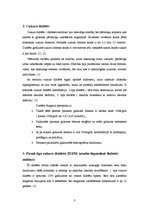 Referāts 'Cukura diabēts', 3.
