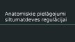 Prezentācija 'Anatomiskie pielāgojumi siltumatdeves regulācijai', 1.