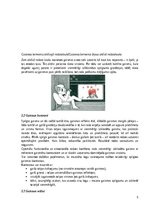 Referāts 'Intrjera apgaismojums', 5.