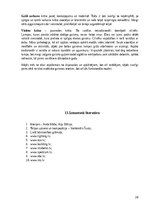 Referāts 'Intrjera apgaismojums', 20.