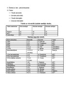 Konspekts 'Neliels Ieskats par Olimpisko spēļu vēsturi', 11.