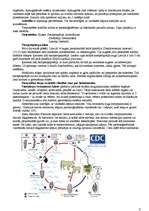 Konspekts 'Dzīvnieku valsts', 6.