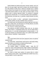 Prakses atskaite 'Prakse komercdarbības organizācijā', 17.