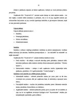 Prakses atskaite 'Prakse komercdarbības organizācijā', 19.