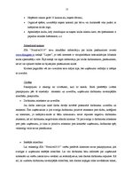 Prakses atskaite 'Prakse komercdarbības organizācijā', 21.