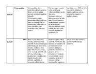 Prakses atskaite 'Aprūpes plāns. Neiroloģijas nodaļa', 10.