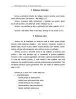 Referāts 'Reklāmas nozīme mārketingā', 5.