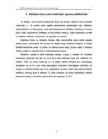 Referāts 'Reklāmas nozīme mārketingā', 7.