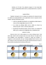 Referāts 'Eiropas Monetārā savienība un vienotā valūta eiro', 11.