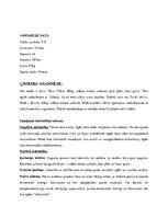 Prakses atskaite 'Sportista anamnēze. Sporta medicīna', 2.