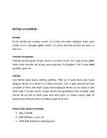 Prakses atskaite 'Sportista anamnēze. Sporta medicīna', 3.