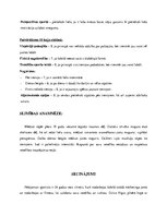 Prakses atskaite 'Sportista anamnēze. Sporta medicīna', 6.