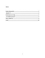 Eseja 'Marinas Abramovičas performances', 2.